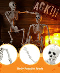 Two Pack 24 Inch Full Body Poseable Skeletons with Locking Joints for Halloween Decor in candlelit scene