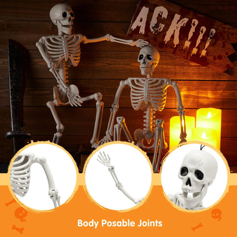 Two Pack 24 Inch Full Body Poseable Skeletons with Locking Joints for Halloween Decor in candlelit scene