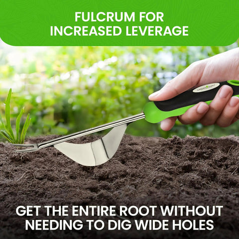 Using No Nonsense Dandelion Weeder Tool With Fulcrum For Precision Root Removal Rust Resistant Stainless Steel Weed Puller