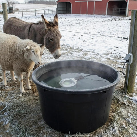 Utility Deicer For Up To 25 Gallon Water Containers With 250W Thermostatically Controlled Heater in livestock tank.