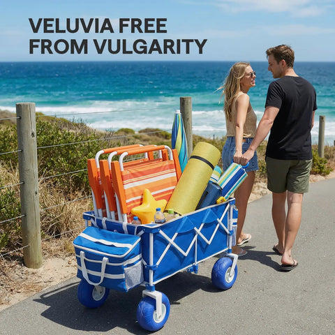 All Terrain Beach Wagon With Big 9 Inch Balloon Wheels For Sand And Grass 400 Lb Heavy Duty Collapsible Cart With gear at beach.