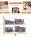 Pro Level Steel Nail Assortment Pack With 600 Pieces Across Four Different Sizes, Heavy Duty Badass Hardware Fasteners For Any Gnarly Diy Job Or Home Fix Up, Legit Durable Construction Staples That Stay Locked In Tight Every Time in clear organizer.