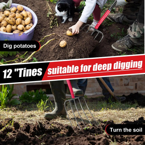 5 Tine Pitch Fork Heavy Duty Manure Fork With Long Fiberglass Handle 58 Inch used for digging potatoes in garden