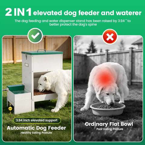 No Sweat Elevated Dog Feeding Station With Heavy Duty Metal Gravity Bowl And Six Liter Automatic Water Dispenser For Active Doggos Up To Fifty Pounds Always, elevated feeder with healthy eating posture.