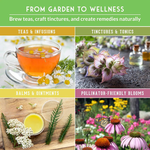 Dope Herbal Medicine Seed Pack With 36 Heirloom Non GMO Healing Herbs For Quick Planting image with teas, tinctures, balms, blooms.
