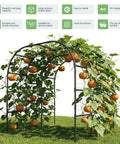 Tall 88 Inch Garden Arch Trellis For Climbing Plants Outdoor Metal Archway That Looks Boss, with pumpkins and green vines.