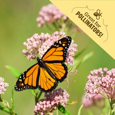 Monarch butterfly on pink flowers with text 'Great for Pollinators!' Organic Flower Seeds Variety 5 Pack For Indoor And Outdoor Gardening No GMO All Year Grow Kit With Easy Peasy Planting And Year Round Color For Home Gardens.