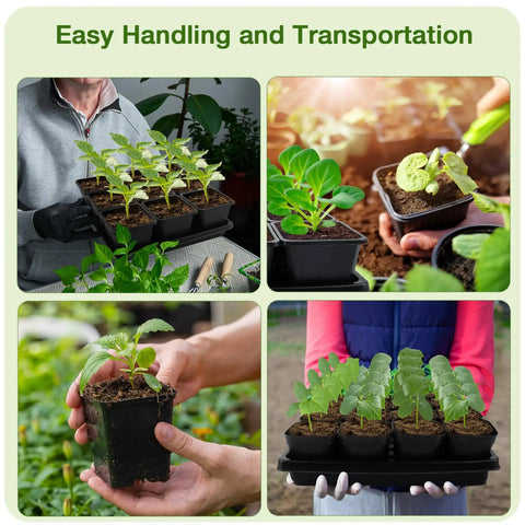 Collage showing 50 Pack Three Point Five Inch Square Seedling Pots With Drain Holes And 5 Seed Starter Trays Kit in garden use