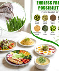 Gourmet dishes and cat near grass alongside a selection of seeds, promoting the versatility of the 4-Tier Sprouts Growing Kit With Drain Hose And Ventilation Holes, Stackable Microgreens Sprouting Trays With Blackout Cover, Soil-Free Sprouter For Planting Broccoli Alfalfa Bean Seeds In 3-5 Days.