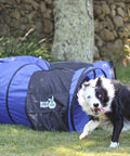 Dog playing next to 16 Foot Dog Agility Tunnel with Sandbag End Sets for Backyard Training, Durable Easy Setup Obstacle Course