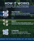 Infographic showing how Outdoor Odor Eliminator For Pets Enzyme Cleaner tackles dog urine using triple action.
