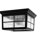 French Pane Square 2 Light Farmhouse Ceiling Mount Light For Indoor Or Outdoor Use Damp Rated Open Bottom With Seedy Glass