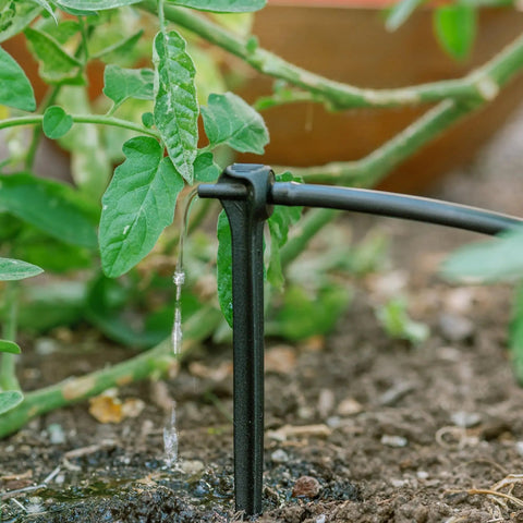 Tomato Garden Drip Irrigation System Kit For 10 Plants With Push Connect Fittings watering green plant in soil