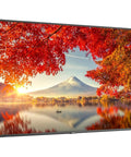 Next Level 55 Inch 4K Uhd Digital Signage Display Led Backlit Lcd Monitor With Hdri And Punchy Wide Color Gamut showcasing a scenic autumn landscape.