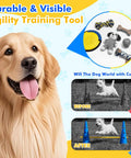 Golden retriever with Backyard Dog Agility Training Set with 12 detachable poles, 6 cones, and height adjustable crossbar.