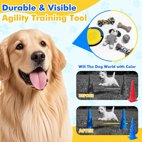 Golden retriever with Backyard Dog Agility Training Set with 12 detachable poles, 6 cones, and height adjustable crossbar.
