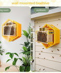 Observation Beehive Starter Kit with 3 frames, wall-mounted hexagon design indoors and outdoors with clear acrylic window