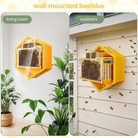 Observation Beehive Starter Kit with 3 frames, wall-mounted hexagon design indoors and outdoors with clear acrylic window