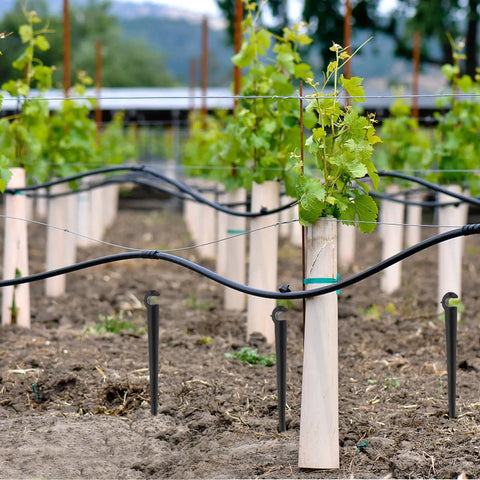 50 Count Garden Irrigation Stakes And Drip Pole Holders For Tubing And Hose No Tools Needed Easy Install Durable ABS Construction Stable Watering Brackets For Gardens Farms And Greenhouses