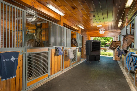 Industrial Swamp Cooler With 22000 CFM And 46 Gallon Water Tank in horse stable providing cooling relief to horses.