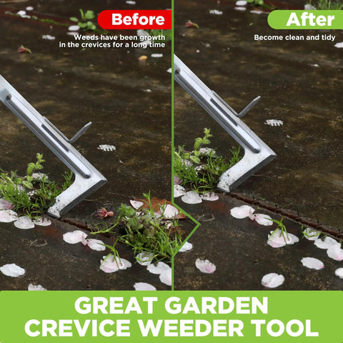 Before and after using the Heavy Duty 12 Inch Crack Weeder With L Shaped Stainless Steel Blade For Jammed Paving Gaps And Concrete Cracks.