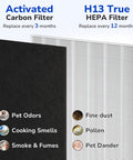Replacement Filter A For Winix PlasmaWave Air Purifiers C535 5300 5300-2 6300 6300-2 P300 AM90 C909 9800 showing HEPA and carbon filters