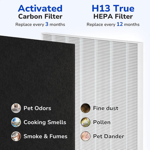 Replacement Filter A For Winix PlasmaWave Air Purifiers C535 5300 5300-2 6300 6300-2 P300 AM90 C909 9800 showing HEPA and carbon filters