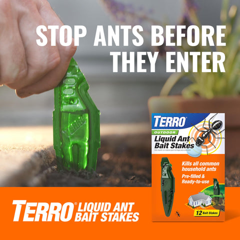 Person inserting green bait stake, Terro Liquid Ant Bait Stakes packaging displayed, outdoors with plant, hand close-up.