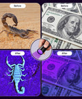 Before and after image using UV Flashlight Black Light 12 LED 395nm Ultraviolet Detector on scorpion and currency.