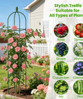2 Pack Garden Obelisk Trellis For Climbing Plants 71 Inch Adjustable Height, supporting roses in outdoor garden setting.