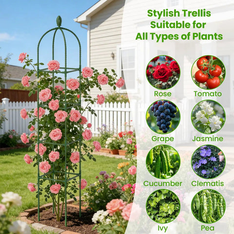 2 Pack Garden Obelisk Trellis For Climbing Plants 71 Inch Adjustable Height, supporting roses in outdoor garden setting.
