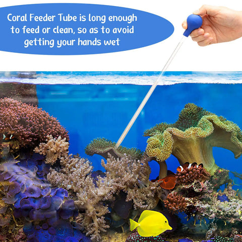 Axolotl Aquarium Feeding Kit With Coral Feeder Tube And Straight And Curved Tweezers, Stainless Steel Tools For Easy Feeding And No-Fuss Tank Cleanup, 3 Piece Set coral feeder tube in reef tank
