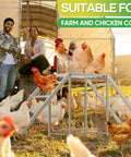 Chicken Coop Perch With Swing And Ladder Set in use with chickens outdoors on farm