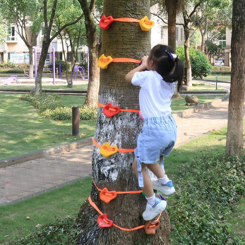 Child climbing a tree using Kids Outdoor Ninja Climbing Holds Set With 18 Rock Grips And 6 Ratchet Straps For Backyard Tree Obstacle Course Training