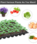 Fifteen Pack Seed Starter Trays With 72 Cells Each 1080 Cells Total Plastic Seedling Trays Kit For Garden Germination
