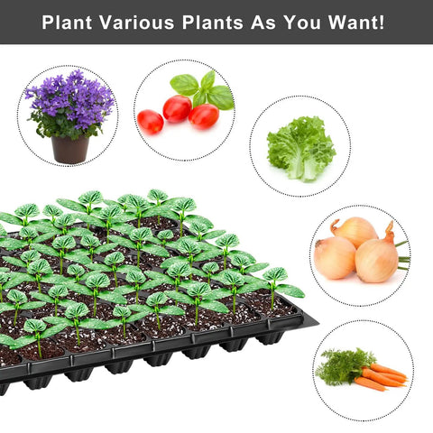 Fifteen Pack Seed Starter Trays With 72 Cells Each 1080 Cells Total Plastic Seedling Trays Kit For Garden Germination