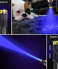 365Nm UV Light Flashlight Two Pack Portable Blacklight Handheld Torch for Fluorescence Detection illuminating carpet with pet