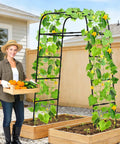 7ft Garden Arch Trellis For Climbing Plants Tough As Nails Heavy Duty Steel Outdoor Arbor with vines in raised beds