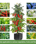 Two Pack Tomato Planter With Trellis 57 Inch Self Watering Raised Garden Bed with climbing tomatoes and various plants