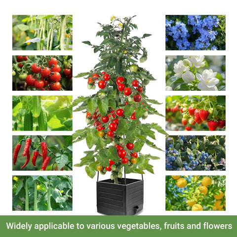 Two Pack Tomato Planter With Trellis 57 Inch Self Watering Raised Garden Bed with climbing tomatoes and various plants
