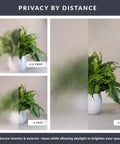 Texture Twelve Window Privacy Film With Dimensional Textured Glass Look Static Cling Non Adhesive Privacy Film For Homes And Offices Blocks View Without Darkening UV Protection Made In USA 36 By 72 Inch; privacy effect shown at different distances with plant behind film.