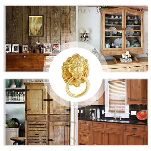 Lion Head Cabinet Pull Handle Set Five Piece For Dresser Wardrobe Kitchen Cupboard Ring Drawer Pulls With Screws Gold Finish displayed