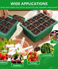 Self Watering Seed Starter Tray Kit With Grow Light And Timing Controller, No Fuss 6 Pack 72 Cell for seed germination shown.