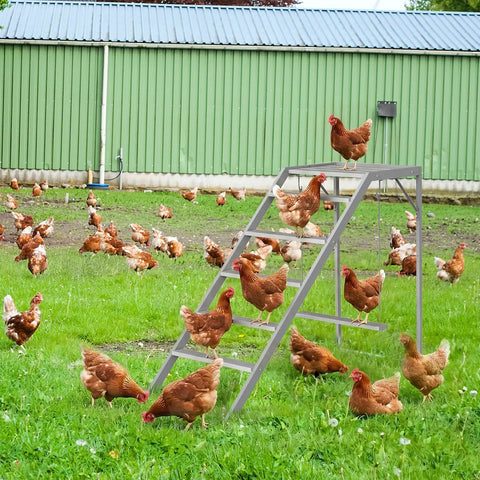 Chickens on Chicken Perch With Ladder And Swing For Coop Roosting Bars For Chickens Enrichment Toy And Activity Playground In Wooden Run