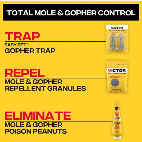 Total mole and gopher control products including traps, repellent granules, and Outdoor Mole And Gopher Poison Peanut Bait 4 Pack With Cone Tip For Hole Access Easy To Apply Yard Pest Control For Moles And Gophers Weather Resistant Pellets For Long Lasting Season Protection.