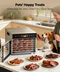 Six Tray Stainless Steel Food Dehydrator With 400W Power, Adjustable Temperature, And 24 Hour Timer in kitchen with pet treats