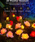 Dope 4 Pack Solar LED Rose Lights with realistic blooming roses and bigger solar panel under rain showcasing IP65 waterproof feature