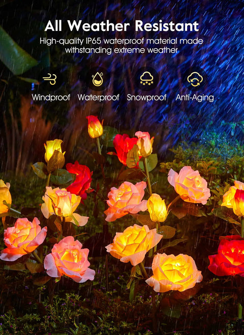Dope 4 Pack Solar LED Rose Lights with realistic blooming roses and bigger solar panel under rain showcasing IP65 waterproof feature