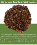 All Natural Pine Bark Mulch Nuggets For Indoor And Outdoor Pots And Planters Terrariums 30 Quarts Small Chips For Soil Drainage