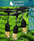 Outdoor String Lights Commercial Grade 96 Ft Waterproof With 30 S14 Shatterproof Dimmable LED Bulbs hanging among ferns